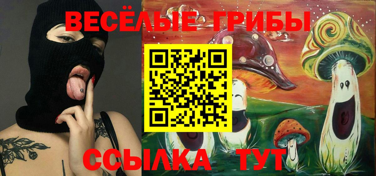 Юрга  Псилоцибиновые грибы мухоморы  Вход с VPN 