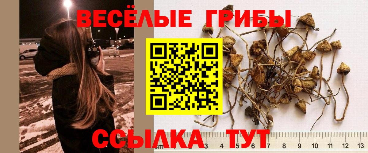 Псилоцибиновые грибы Magic Shrooms Юрга